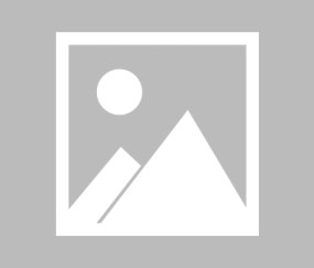 500.com-【夜读】马卡调查：70%球迷选择齐达内下课